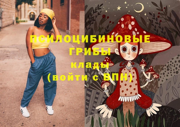 mix Бородино