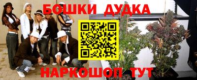 прущие крисы Камышлов
