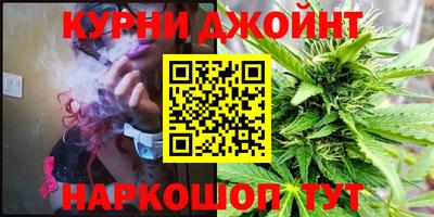 прущие крисы Камышлов