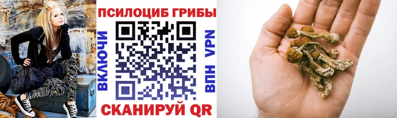 где купить Кузнецк shop клад Галлюциногенные грибы ЛСД