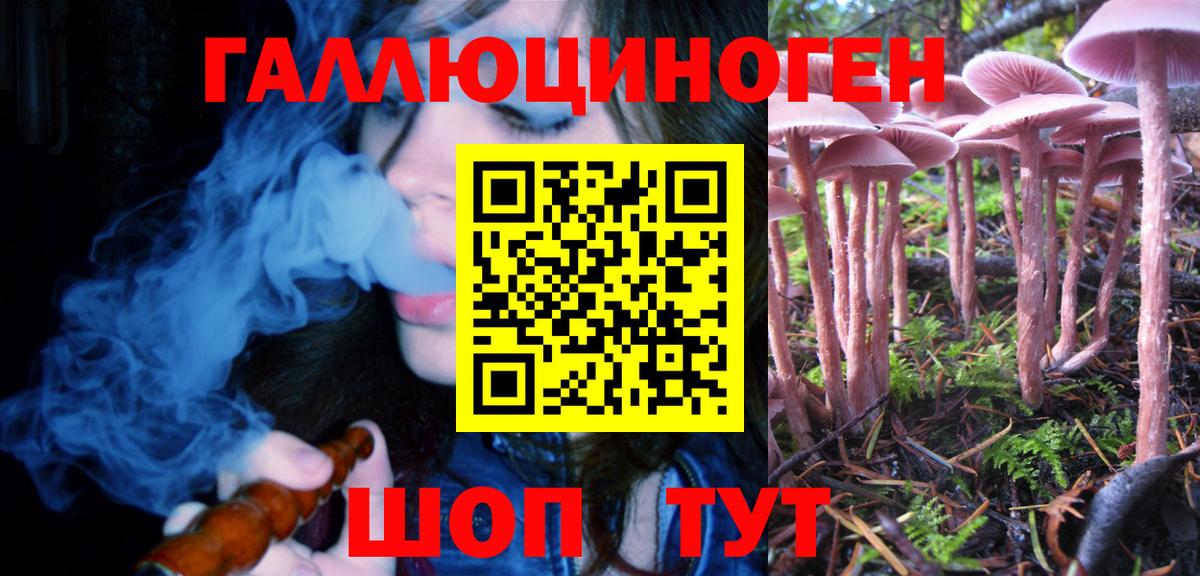 Псилоцибиновые грибы Magic Shrooms  Вход с VPN  Кузнецк 